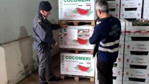 Εννέα τόνοι ελληνικά καρπούζια κατασχέθηκαν στην Ιταλία