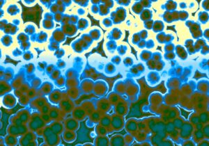 Blastocystis: Το παράσιτο που όσοι το έχουν χαρακτηρίζονται από καλή καρδιακή υγεία