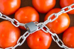 500 τόνοι φρούτων και λαχανικών απορρίφθηκαν στο τελωνείο των Κήπων του Έβρου
