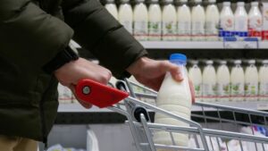 Είναι ασφαλές το ελληνικό γάλα μετά τα κρούσματα πανώλης σε αιγοπρόβατα στη Θεσσαλία;
