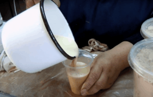 Περού: Το αφροδισιακό “smoothie” που δημιουργείται από… απειλούμενο βάτραχο