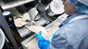 Εκμετάλλευση υποπροϊόντων θαλασσινών: Έργο της ΕΕ ανακυκλώνει κεφάλια ψαριών και άλμη σε νέα συστατικά τροφίμων