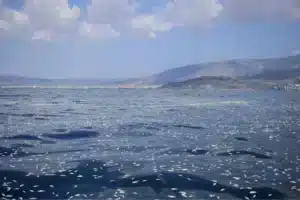 Τα συμφέροντα και το περιβάλλον - Cibum.gr