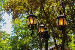 Πως διαταράσσεται η τροφική αλυσίδα από τα… φώτα στους δρόμους που λειτουργούν όλη τη νύχτα