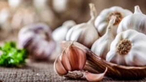 Ποια είναι τα Θεσσαλικά σκόρδα που οι Ιάπωνες χρησιμοποιούν ως φάρμακο;