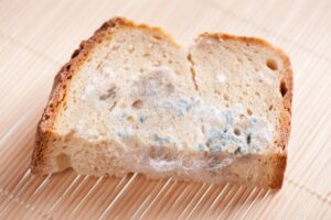 Συσκευασίες ψωμιού χωρίς γλουτένη Nutrifree Panfette που επηρεάζονται από την ανάκληση λόγω κινδύνου μικροβιολογικής αλλοίωσης