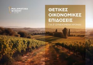 Οινοποιία Μαλαματίνα: Θετικές οικονομικές επιδόσεις για δεύτερη συνεχόμενη χρονιά