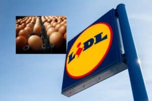 Lidl Fr: Σαλμονέλα σε αυγά – Σοβαρός κίνδυνος – Άμεση ανάκληση