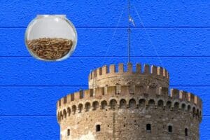 Πώς νιώθουν οι Θεσσαλονικείς όταν τρώνε έντομα – Μελέτη του ΑΠΘ