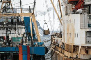 Ελληνική εταιρεία έχει τα περισσότερα πλωτά ψυγεία για μεταφόρτωση ψαριών παγκοσμίως