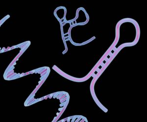 microRNA