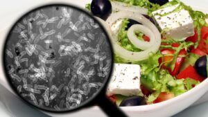 Νέα επιδημία σαλμονέλωσης από ντομάτες στην Ευρώπη