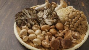 Listeria σε μανιτάρια της Enoki King – Βρέθηκαν μετά από  έλεγχο ρουτίνας των Υγειονομικών Αρχών