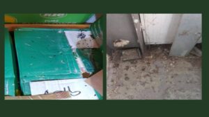 Τρωκτικά και περιττώματα στις εγκαταστάσεις  αποθήκης τροφίμων για online παραγγελίες – Τσουχτερό πρόστιμο στον ιδιοκτήτη