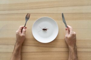 Δέκα ζωντανές κατσαρίδες σε κουζίνα εστιατορίου κατά τη διάρκεια επιθεώρησης
