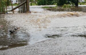 Νεκρός 57χρονος κτηνοτρόφος στη Λήμνο από την κακοκαιρία