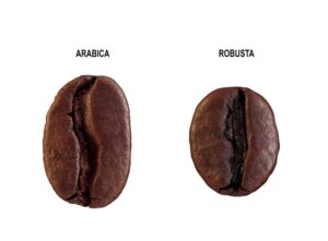 Καφές arabica: Στα ύψη εκτοξεύτηκε η τιμή του – Ανησυχία και για την ποικιλία Robusta