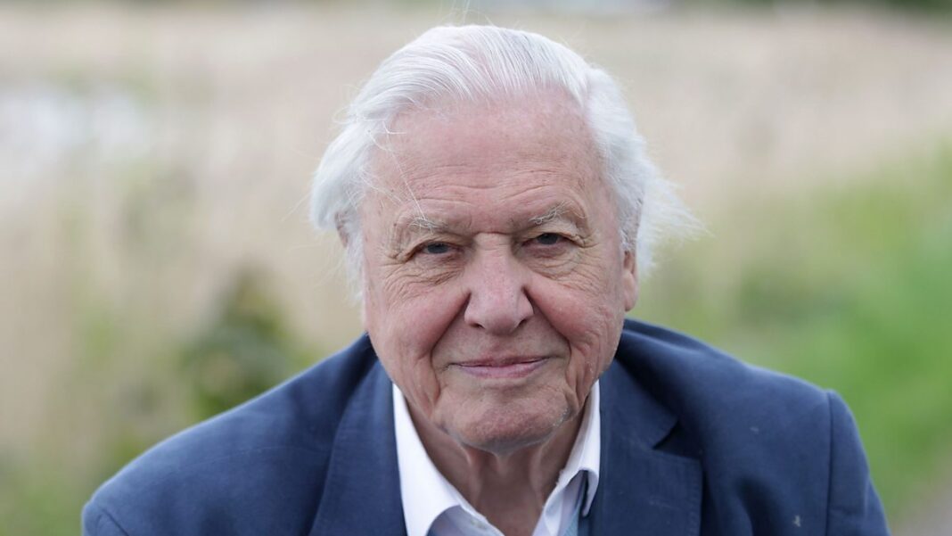 Ο David Attenborough έγινε 100 ετών - Οι επτά συνήθειες που η επιστήμη συνδέει με μακρά και υγιή ζωή