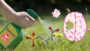 Η γλυφοσάτη υπεύθυνη και για την πρόκληση Αλτσχάιμερ – Τι αποκαλύπτει νέα μελέτη