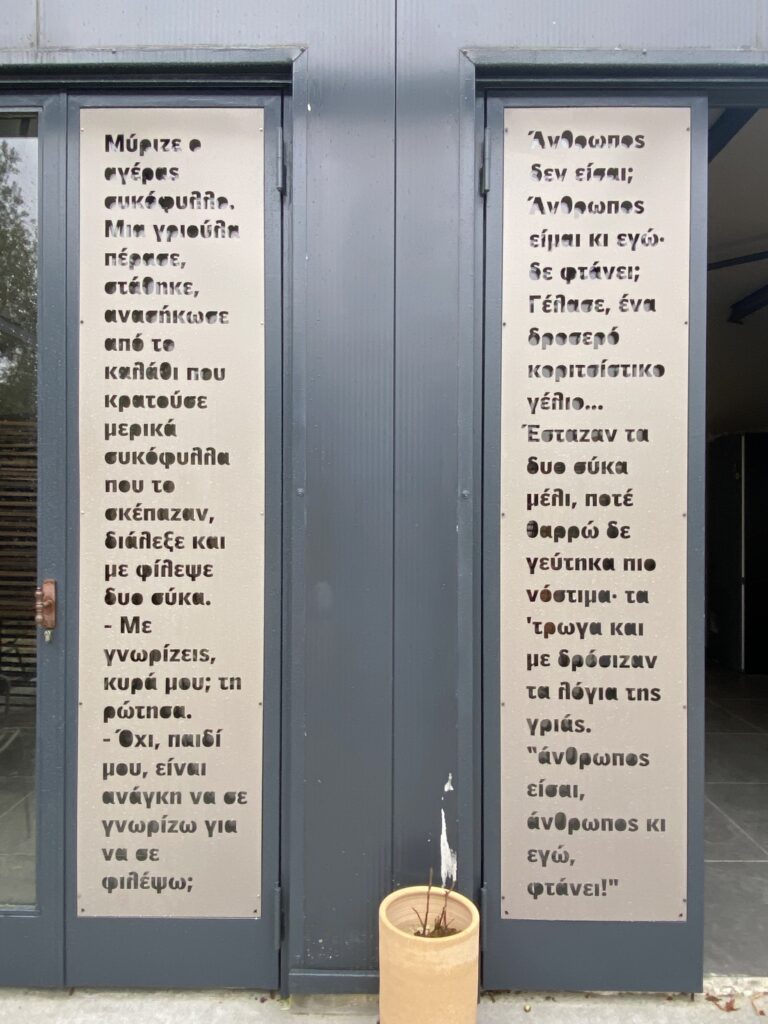 Τα απίθανα σύκα της Εύβοιας - Cibum.gr