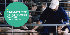 Μέτρα του ΥΠΑΑΤ μετά τις νέες εστίες Αφρικανικής Πανώλης των Χοίρων σε αγριόχοιρους στη Βουλγαρία