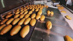 Σωρεία παραβάσεων σε γνωστή βιομηχανία αρτοσκευασμάτων – Τι έκανε τις Αρχές να χαρακτηρίσουν τα προϊόντα νοθευμένα