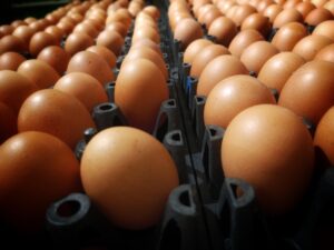 Κρίση αυγών στις ΗΠΑ: Αντιμονοπωλιακή έρευνα για τις εξωφρενικές τιμές τους