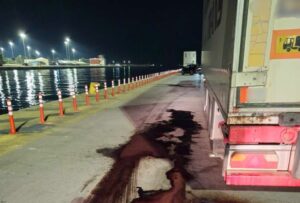 Υγειονομική βόμβα: Είχαν αφήσει 20 τόνους κρέατος να σαπίζει στο λιμάνι του Πειραιά
