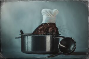 Λουκέτο σε 115 εστιατόρια για ποντίκια, παράσιτα, κατσαρίδες και όχι μόνο…