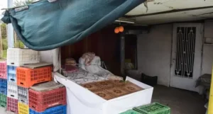 72χρονη που πουλούσε φρούτα σε υπαίθριο πάγκο στο Ναύπλιο σκότωσε 50χρονο που προσπάθησε να τη ληστέψει