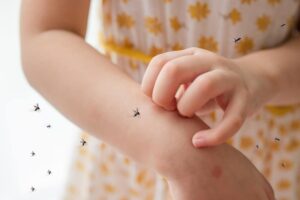 ΕΕ: Εγκρίθηκε εσπευσμένα νέο εμβόλιο κατά της ασθένειας των κουνουπιών