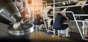 Επιστήμονες τονίζουν τους κινδύνους λιστερίωσης κατά τη διαδικασία παραγωγής σπιτικού βουτύρου από νωπό γάλα