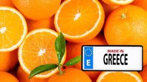 Ελληνικά πορτοκάλια στα σχολεία της Τσεχίας: Πληρούν τις αυστηρότατες προδιαγραφές των τσεχικών αρχών για τη διατροφή ανηλίκων