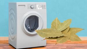 Γιατί πρέπει να βάζουμε φύλλα δάφνης στο πλυντήριο;