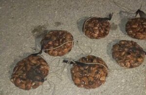 Παράνομο ψάρεμα: Ερασιτέχνης αλίευσε 15 κιλά γυαλιστερές