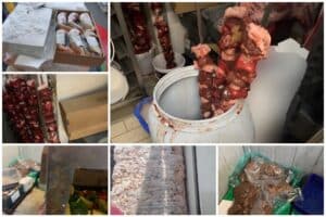 Κίνδυνος στο πιάτο μας! Πάνω από 8 τόνοι επικίνδυνων τροφίμων εντοπίστηκαν σε επιχειρήσεις μέσα σε έναν μήνα στην Αττική