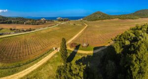 Ανοιχτές πόρτες σε 32 οινοποιεία της Βόρειας Ελλάδας στις 17-18 Μαΐου