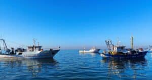 Ψαράδες: Διαμαρτυρία με καπνογόνα και φωτοβολίδες στον Θερμαϊκό