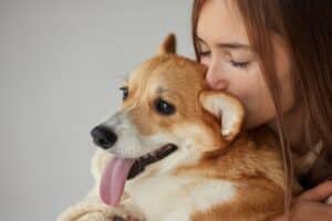Πότε η αγκαλιά με το κατοικίδιό σας μπορεί να του προκαλέσει σοβαρά προβλήματα υγείας