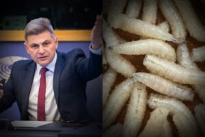 Εντομοφαγία: Έλληνας Ευρωβουλευτής αντιδρά στην έγκριση από την ΕΕ της χρήσης πρωτεϊνών από έντομα