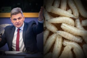 Μας ταΐζουν έντομα χωρίς να το ξέρουμε; – Καταγγελία Έλληνα ευρωβουλευτή για “εν κρυπτώ” εισαγωγή εντόμων στη διατροφή μας