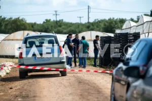 Δολοφονία στις καλλιέργειες φράουλας στην Κυλλήνη