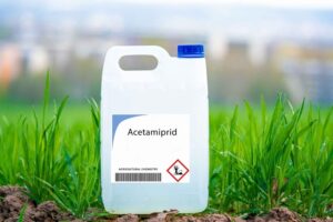 Η EFSA προτείνει αλλαγές στα ανώτατα επιτρεπτά όρια υπολειμμάτων ακεταμιπρίδης σε καλλιέργειες και μέλι