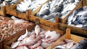 Η ΕΕ διατηρεί τους περιορισμούς στην αλιεία βαθέων υδάτων