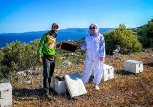 Παγκόσμια Ημέρα Μέλισσας: Ζευγάρι μελισσοκόμων εγκατέλειψε την Αθήνα και αφιέρωσε τη ζωή του στις μέλισσες