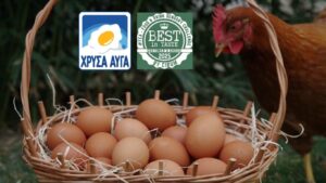 Δημήτρης Πρεβεζάνος – Χρυσά αυγά: «Απευθυνόμαστε σε καταναλωτές που  αναζητούν τροφές υψηλής διατροφικής αξίας»