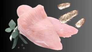 Το E. coli εξαπλώνεται όσο η γρίπη των χοίρων – Αποκαλυπτική νέα μελέτη