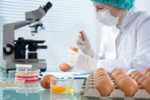 Ποια αυγά περιέχουν λιγότερα υπολείμματα κτηνιατρικών φαρμάκων; Ευρήματα της Υπηρεσίας Χημικών Ερευνών CVUA