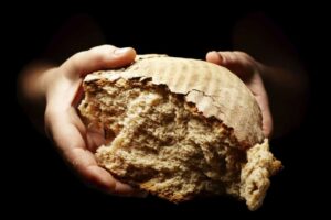 Εσύ θα έτρωγες ψωμί από ακρίδες; Αν η απάντηση είναι όχι, δες τι είπαν όσοι το δοκίμασαν