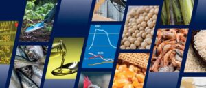 Νέα έκθεση FAO: Αισιόδοξες προβλέψεις για την παγκόσμια παραγωγή τροφίμων